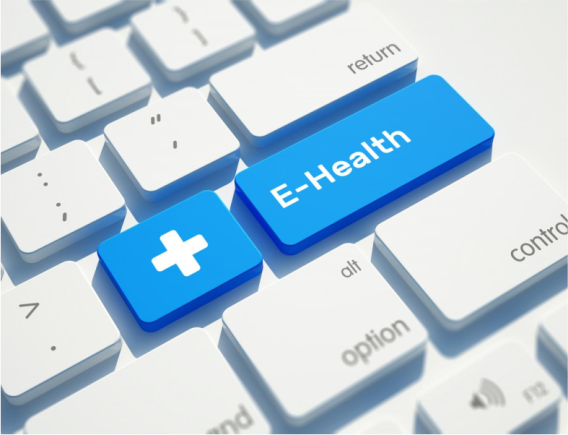 Web Sitesi Bakım ve Destek